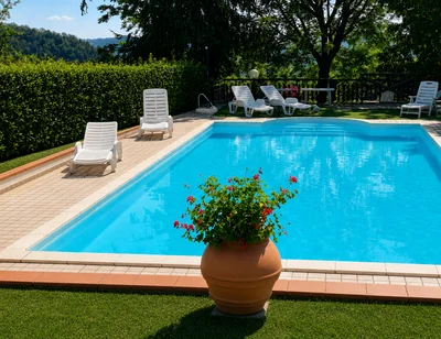 Piscina privata azzurra con lettini, giardino e un vaso fiorito in primo piano