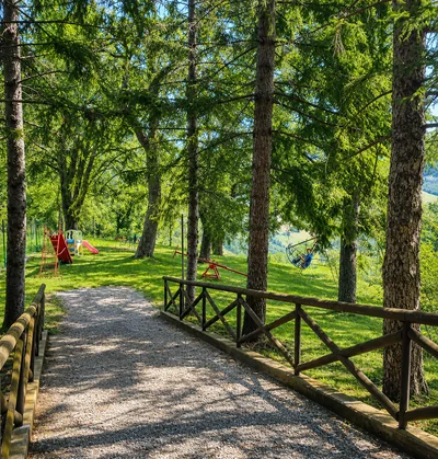Sentiero nel parco, tra alberi e una staccionata in legno